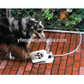 Dog Water Fountain, impede seu animal de beber água estagnada